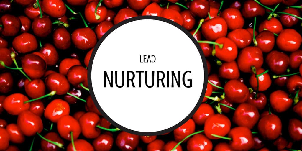 Lead Nurturing