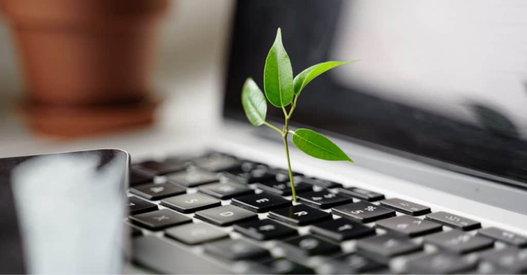 Sostenibilità digitale: come rendere il tuo sito web più "green"