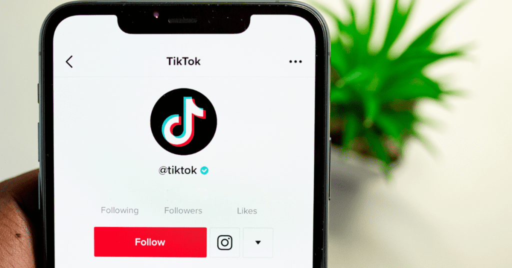 TikTok, garante privacy e pubblicità personalizzata